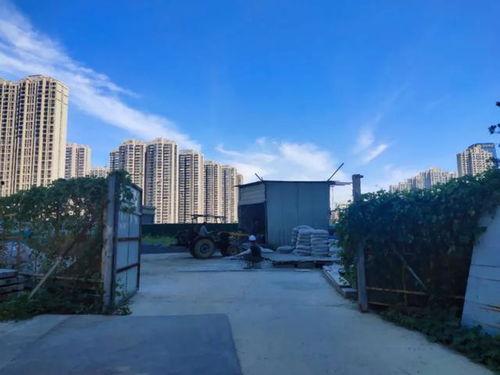 即墨金科弘阳二期交房最新爆料,品质生活即将启幕  第3张