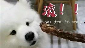 吃瓜娱乐汪,揭秘娱乐圈那些事儿 第2张 吃瓜娱乐汪,揭秘娱乐圈那些事儿 第2张